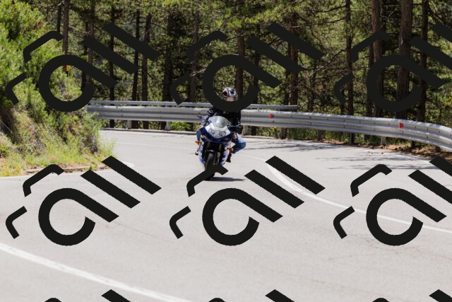 202506281231-_04A5021_c3_