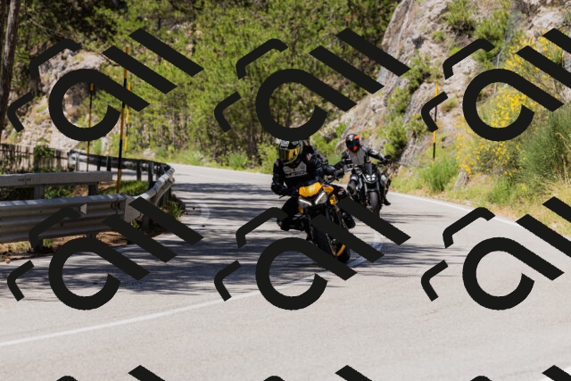 202506281232-_04A5028_c3_