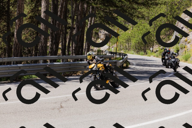 202506281232-_04A5029_c3_