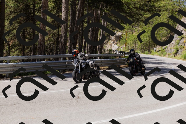 202506281232-_04A5030_c3_