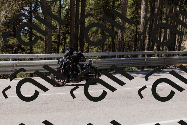 202506281232-_04A5031_c3_