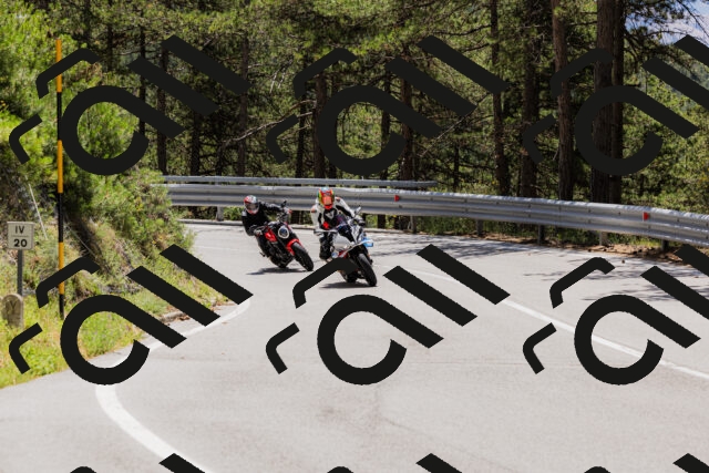 202506281235-_04A5033_c3_