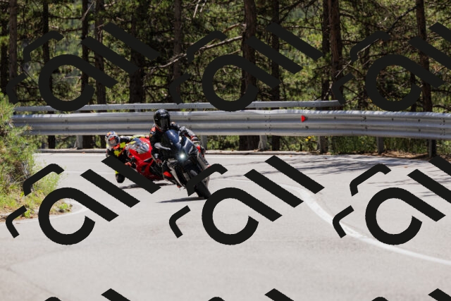 202506281237-_04A5040_c3_