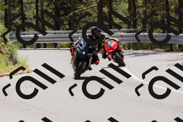 202506281237-_04A5042_c3_