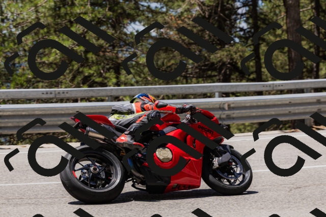 202506281237-_04A5048_c3_