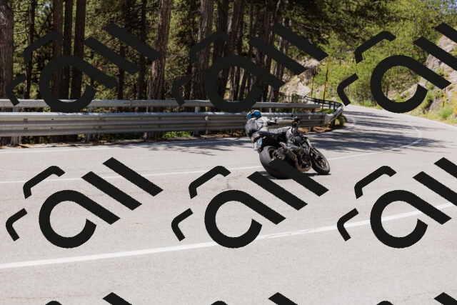 202506281239-_04A5077_c3_