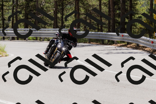 202506281242-_04A5099_c3_