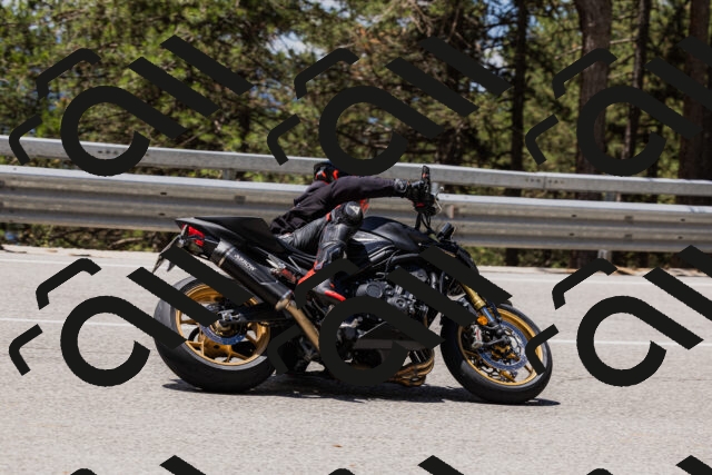 202506281242-_04A5103_c3_