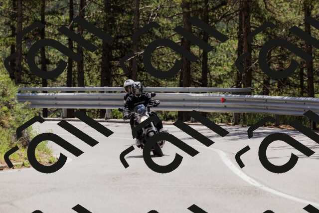 202506281244-_04A5110_c3_