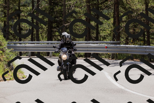 202506281244-_04A5111_c3_