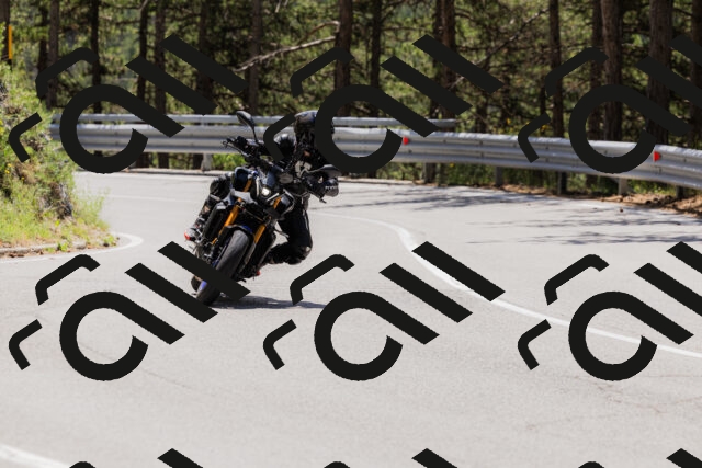 202506281244-_04A5118_c3_