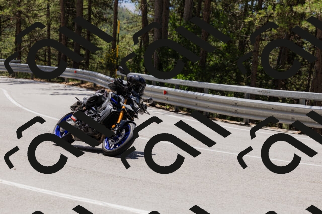 202506281244-_04A5120_c3_