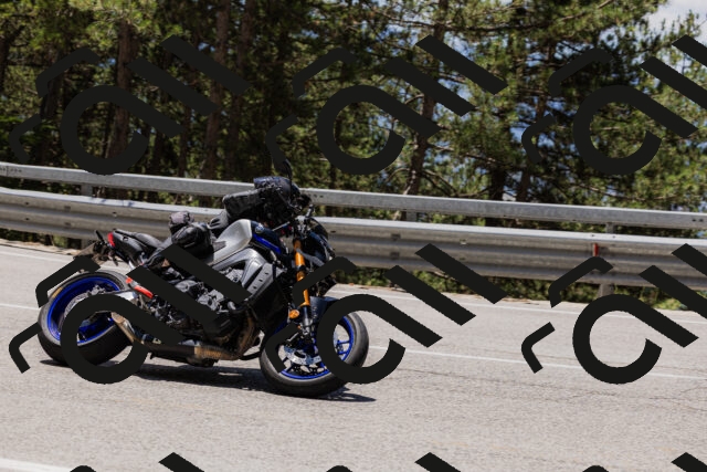 202506281244-_04A5121_c3_