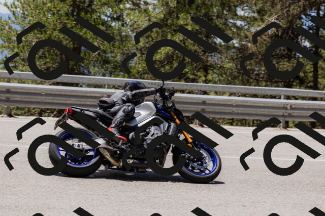 202506281244-_04A5122_c3_