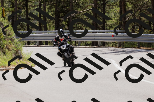 202506281244-_04A5124_c3_