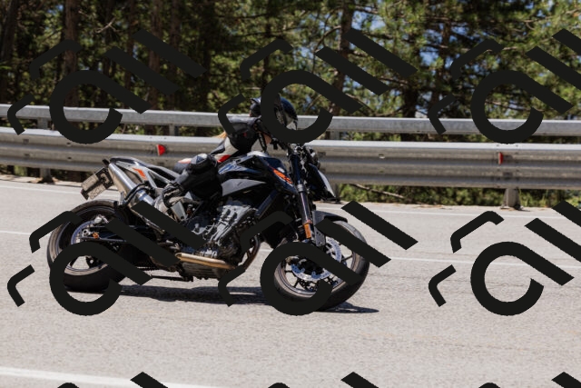 202506281244-_04A5129_c3_