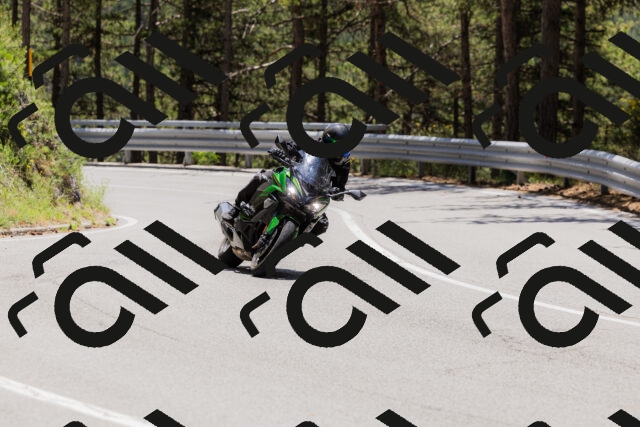 202506281245-_04A5141_c3_