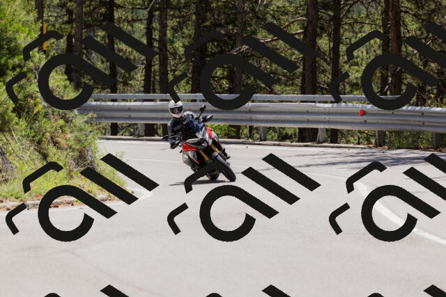 202506281250-_04A5155_c3_