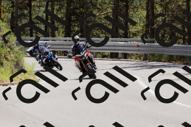 202506281250-_04A5156_c3_