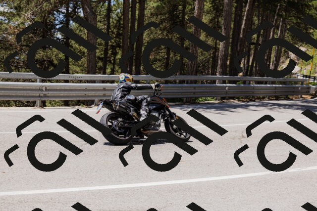 202506281250-_04A5165_c3_