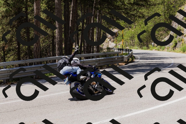 202506281250-_04A5175_c3_