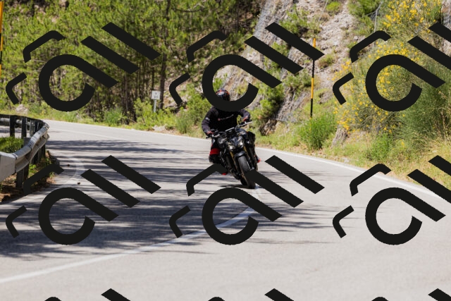 202506281253-_04A5177_c3_