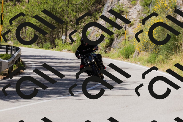 202506281253-_04A5178_c3_