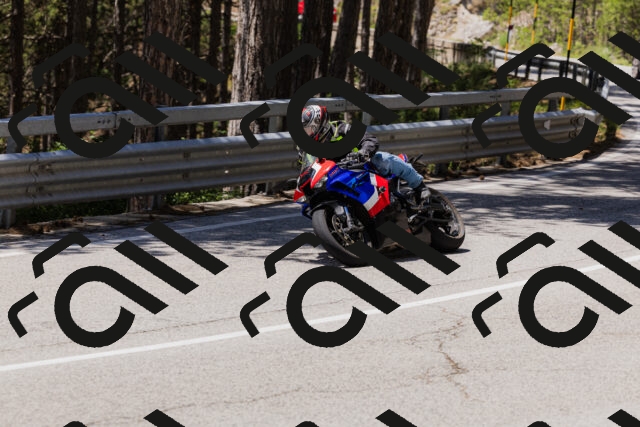 202506281256-_04A5194_c3_