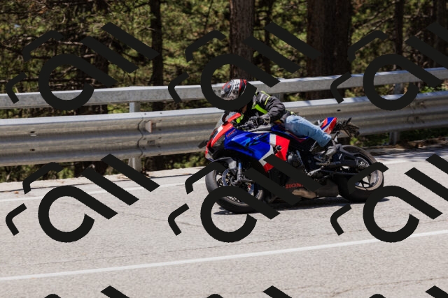 202506281256-_04A5195_c3_