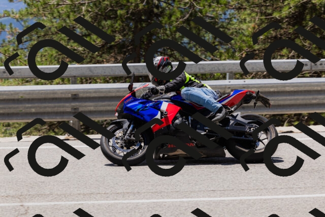 202506281256-_04A5196_c3_