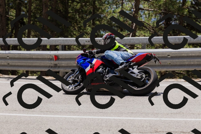 202506281256-_04A5197_c3_