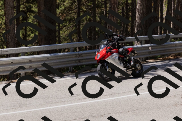 202506281300-_04A5200_c3_