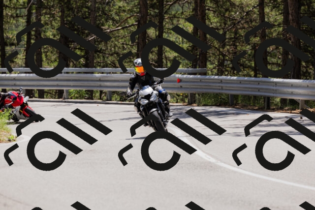 202506281302-_04A5205_c3_