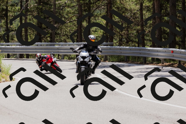 202506281302-_04A5206_c3_