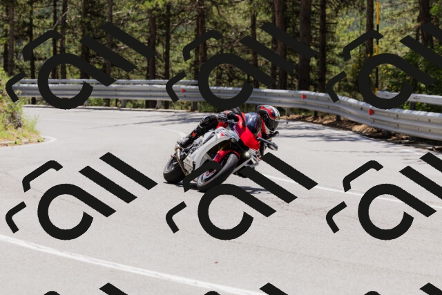 202506281302-_04A5209_c3_