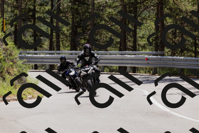 202506281302-_04A5214_c3_