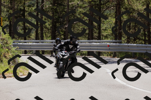 202506281302-_04A5215_c3_