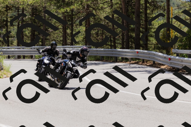 202506281302-_04A5217_c3_