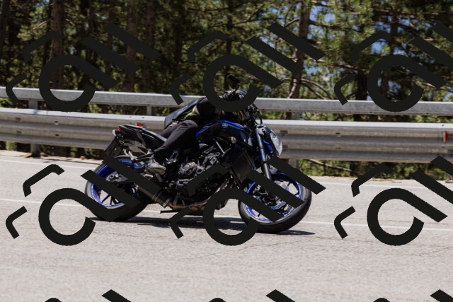 202506281302-_04A5219_c3_