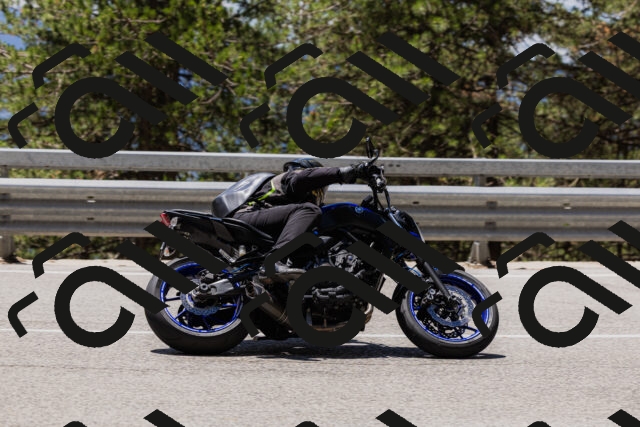 202506281302-_04A5220_c3_