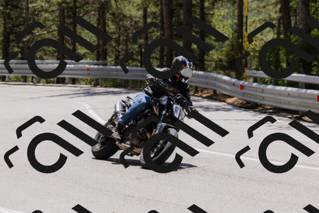 202506281302-_04A5222_c3_