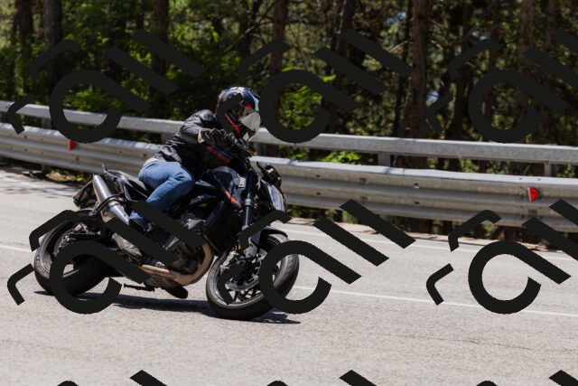 202506281302-_04A5223_c3_