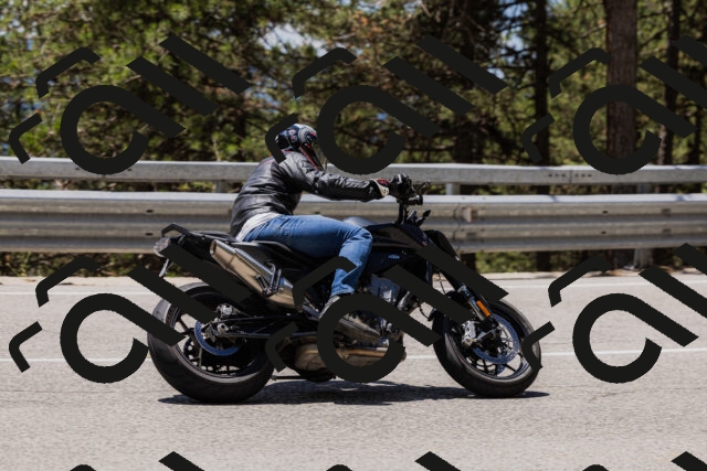 202506281302-_04A5225_c3_