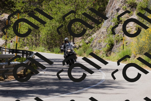 202506281303-_04A5226_c3_