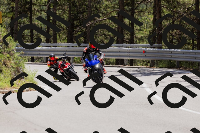 202506281304-_04A5231_c3_