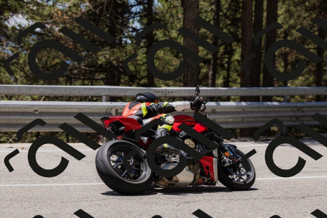 202506281304-_04A5238_c3_