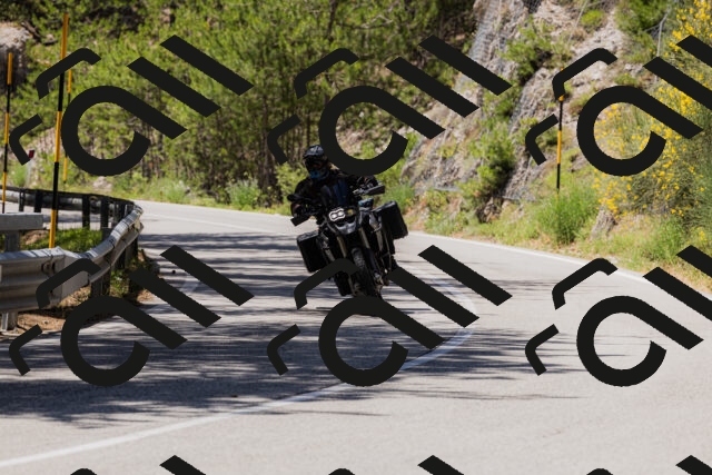 202506281305-_04A5239_c3_