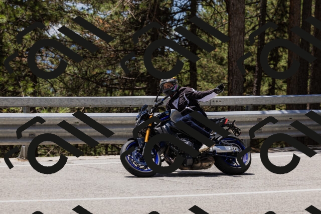 202506281306-_04A5242_c3_