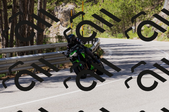 202506281306-_04A5244_c3_