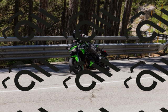 202506281306-_04A5245_c3_